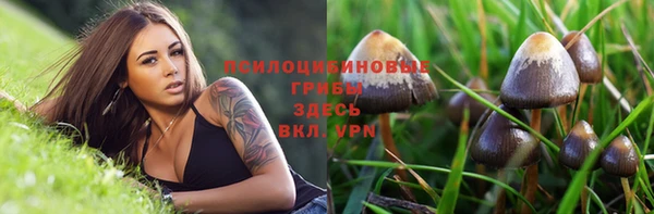 герыч Алексин