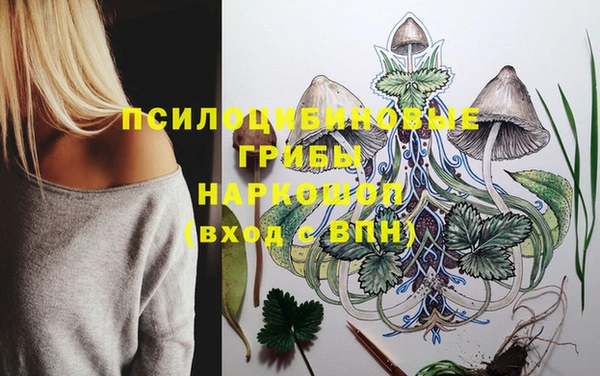 герыч Алексин