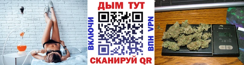 МАРИХУАНА сатива  Нюрба 